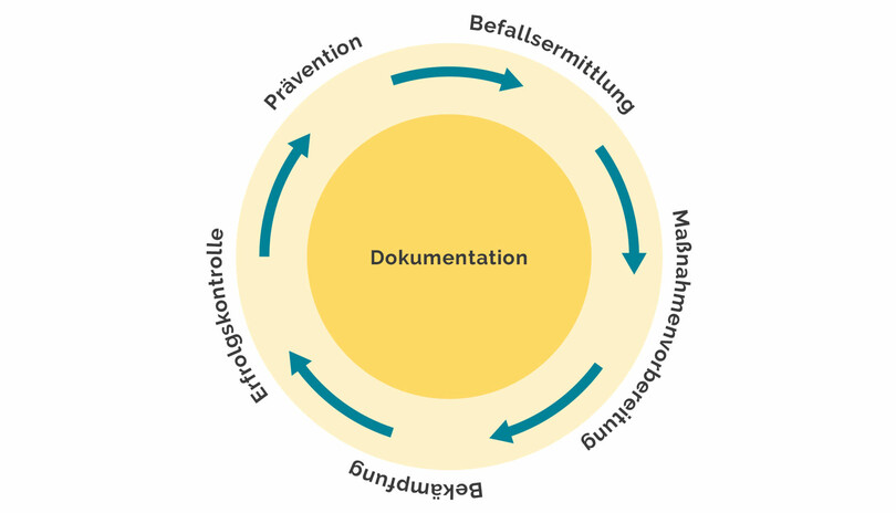 Dokumentation Schädlingsbekkämpfung